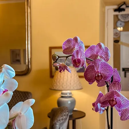 Anita Hotel Santa Margherita Ligure