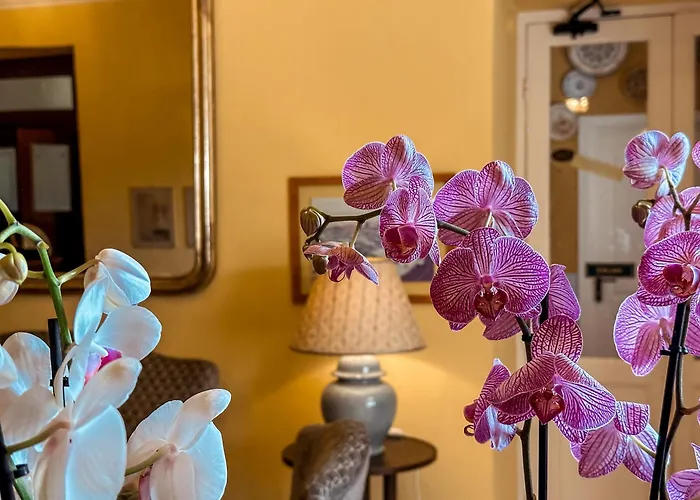 Anita Hotel Santa Margherita Ligure